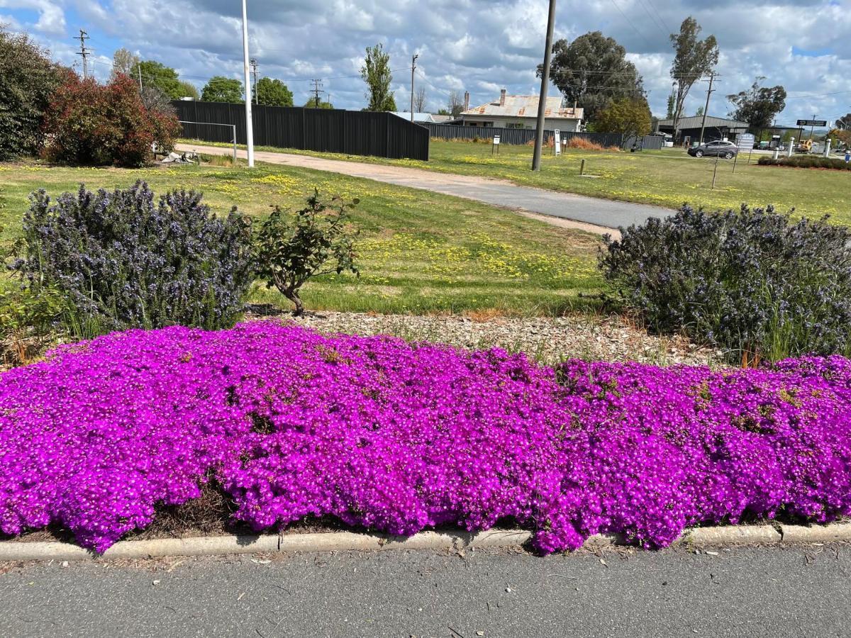 Byer Fountain Motor Inn Holbrook Exterior foto